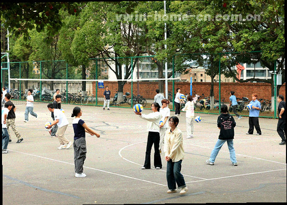 球门网与禁区弧线交叠的局部特写，画面中没有人物